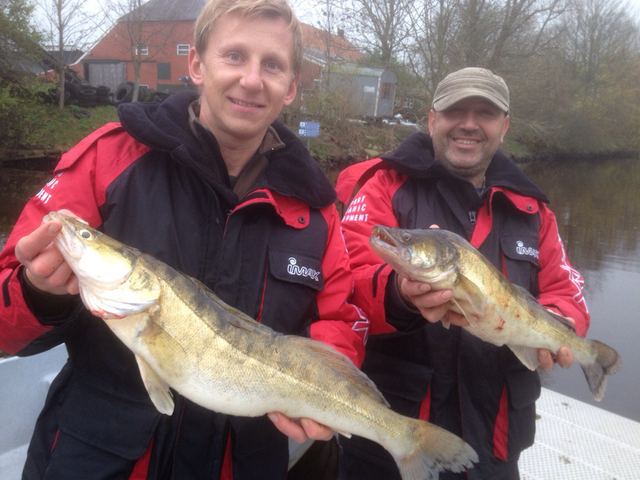 Doppelter Zanderfang vom Boot